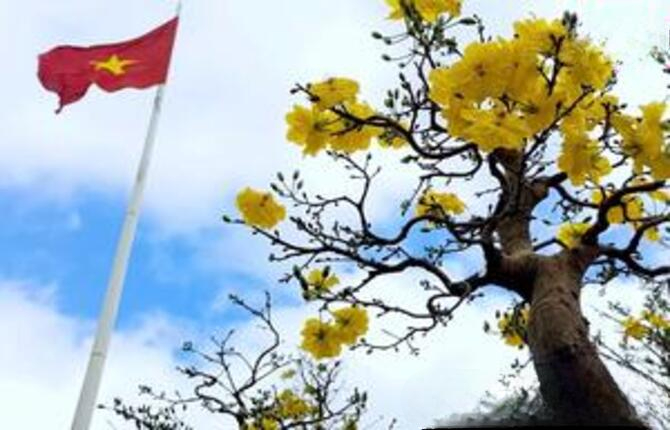 Xuân kết nối - Xuân hy vọng